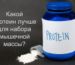 Какой протеин выбрать