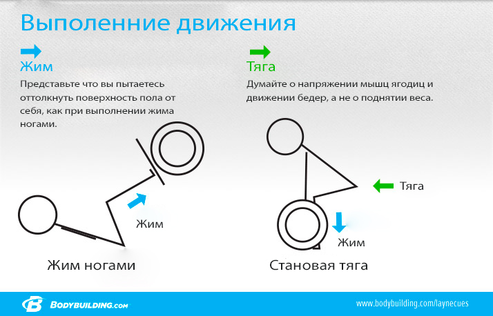 Техника выполнения упражнения