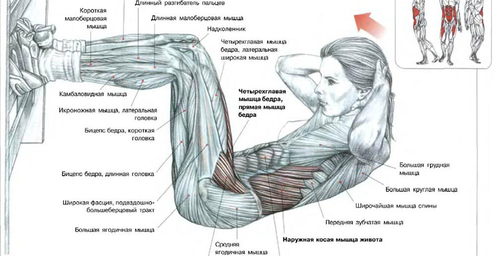 Тренировки пресса
